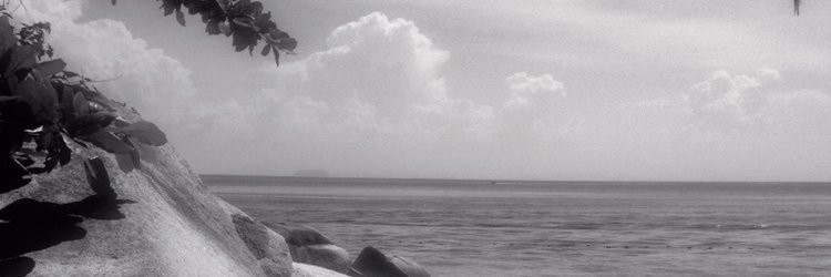 YChiaroscuro's profile banner image