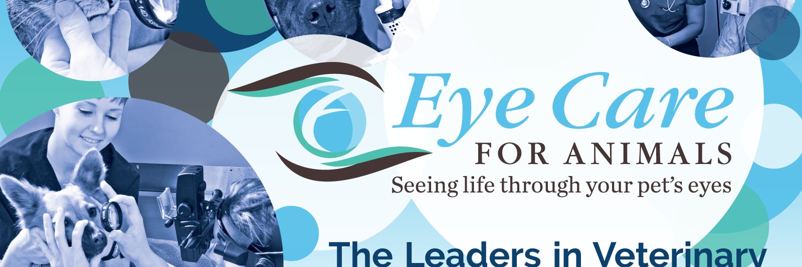 ECFA_Vets's profile banner image