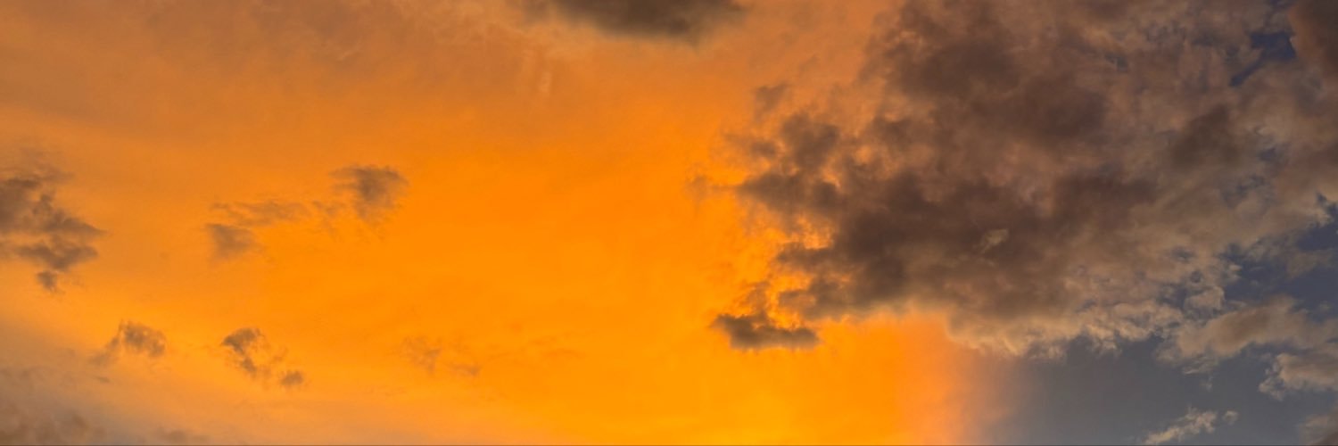 originalPD69's profile banner image