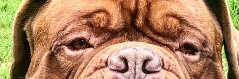 LogieHowie's profile banner image
