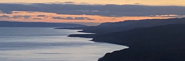 NatalieKoopman3 Profile Banner