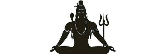 Vaidehi Dixit Sawant banner