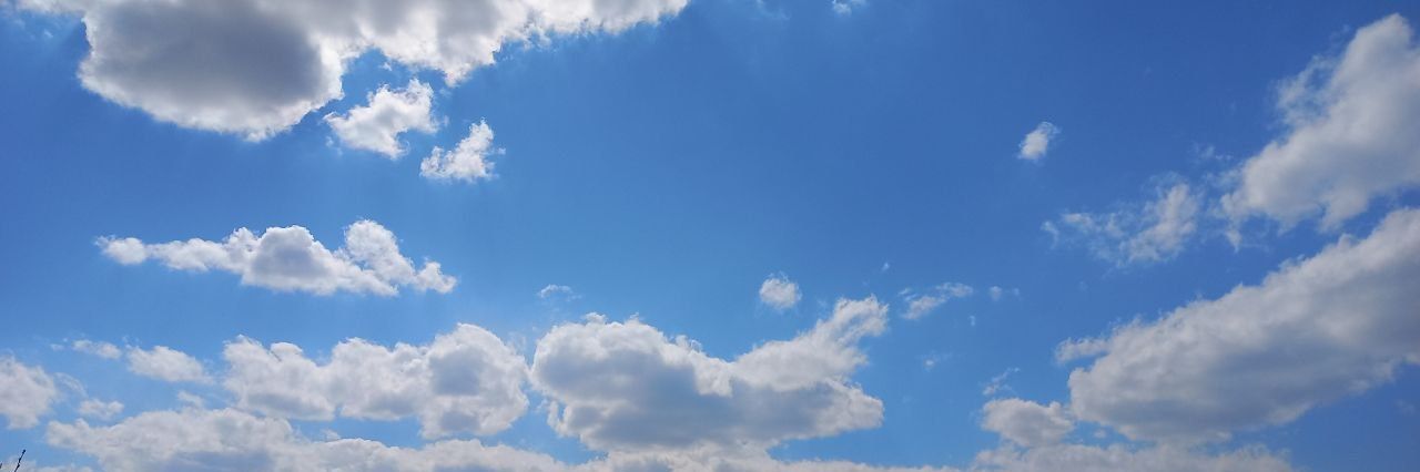 FarniaP's profile banner image