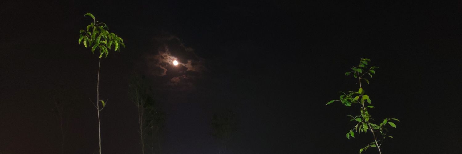 Shwhite17's profile banner image