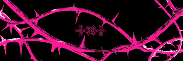 raysmoa Profile Banner