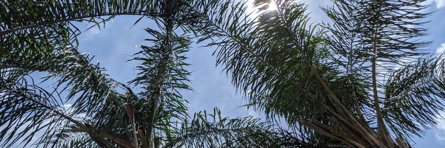 CarlyTrow's profile banner image