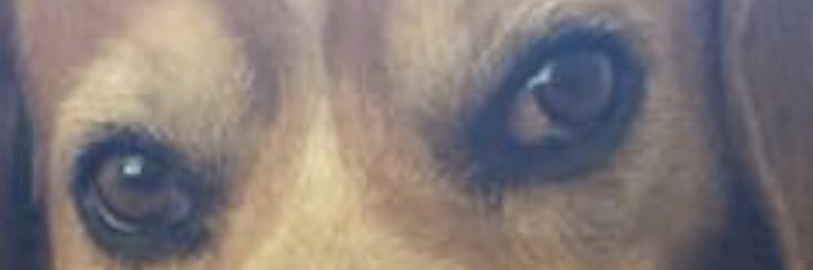 DavidDavidg36's profile banner image