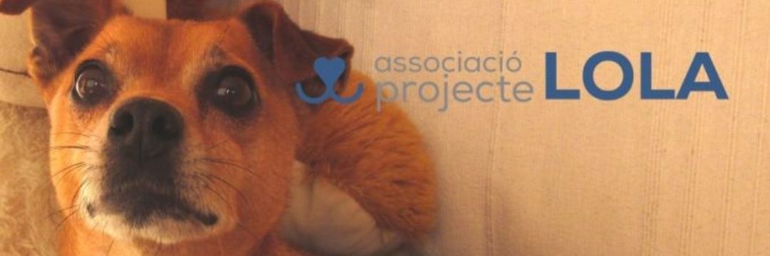 Projecte Lola banner