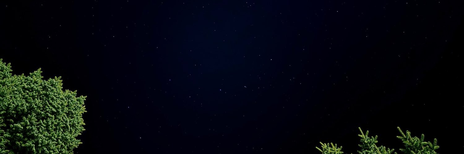Aldevega's profile banner image