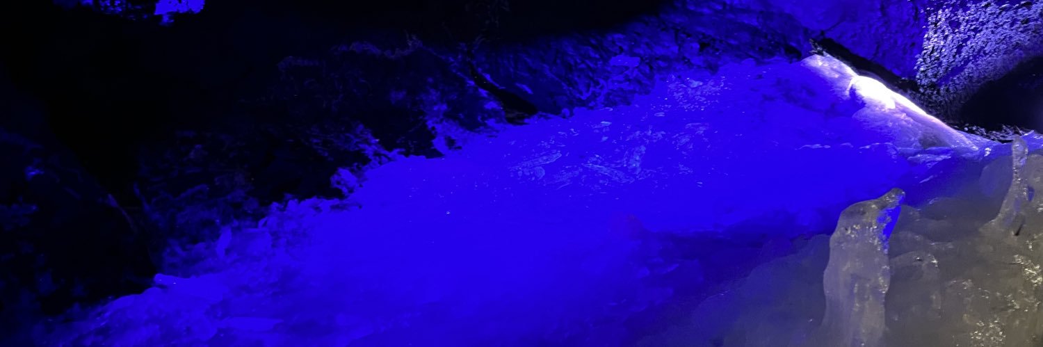 MofuCat562's profile banner image