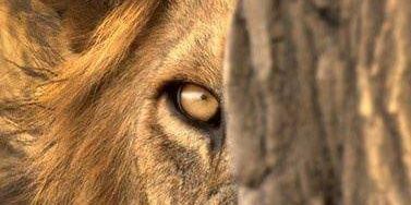 MonmOn_dj's profile banner image
