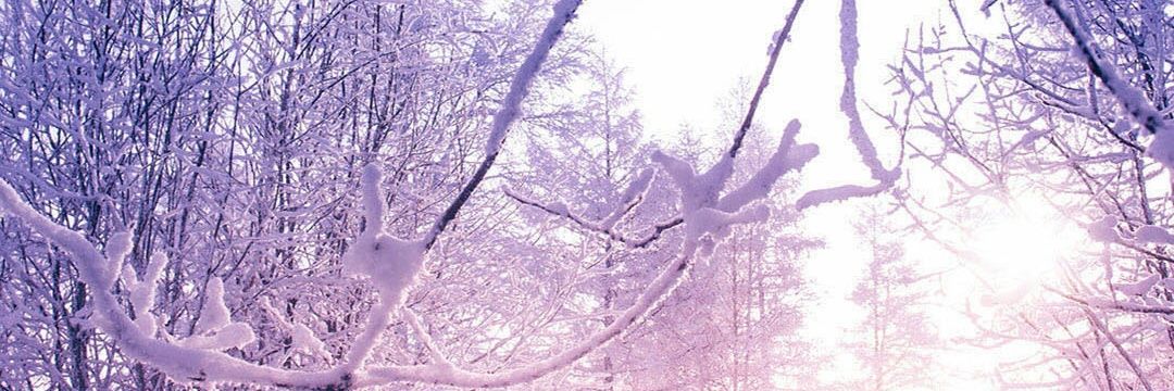 10GME's profile banner image