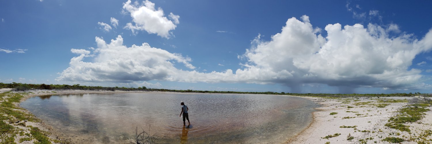 Diane Thompson banner