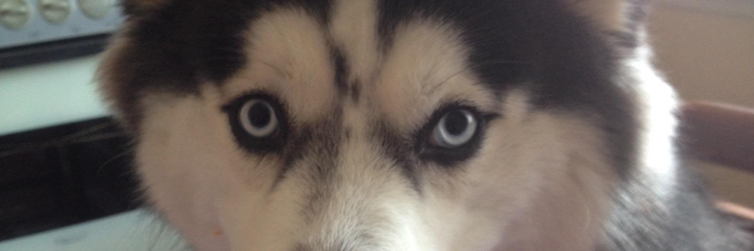 vqtem69's profile banner image