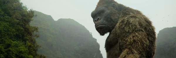 tshilombo_ruben Profile Banner