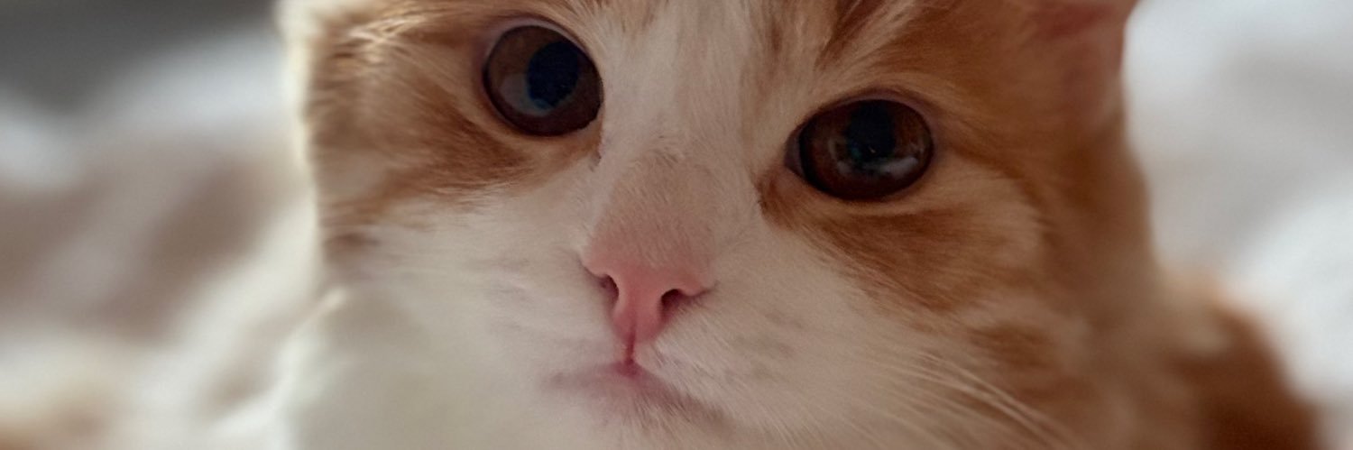 WilliamGunnerud's profile banner image