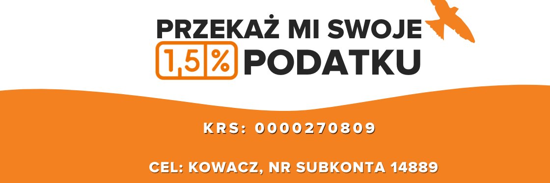 Pustelnik - The official profile of Maciej Kowacz banner