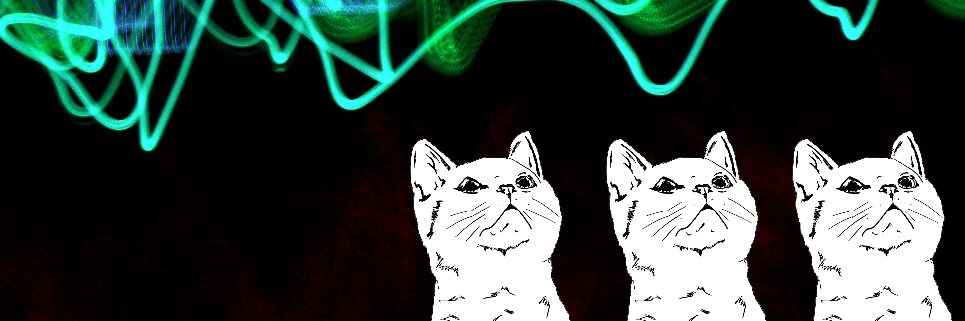 AnaSera's profile banner image