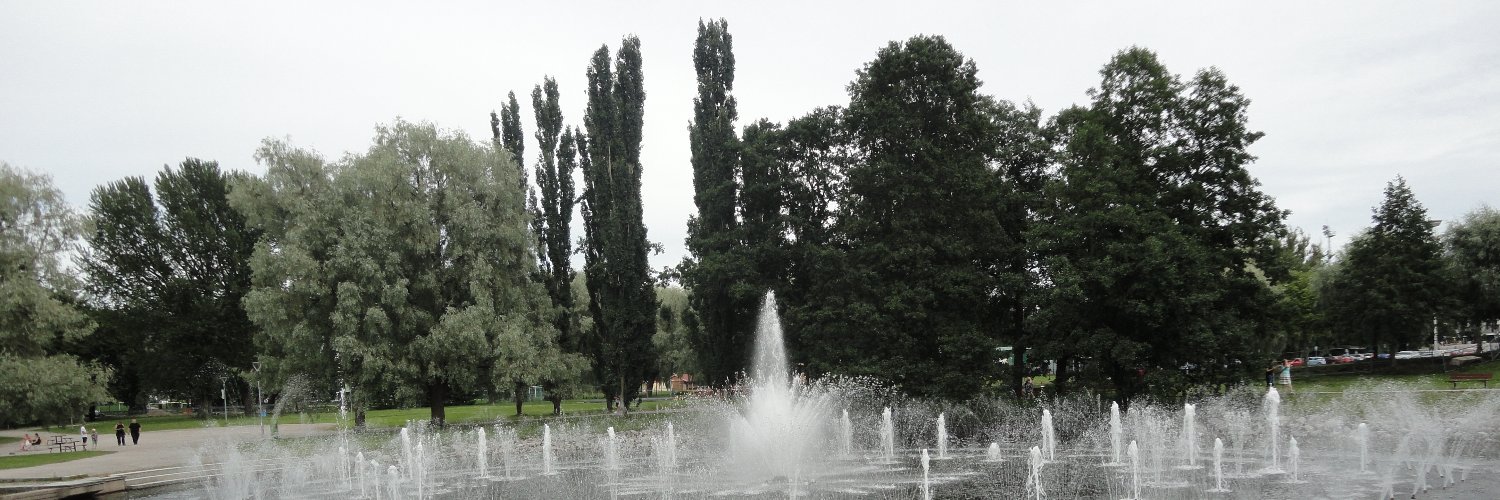 Irene Lavington banner