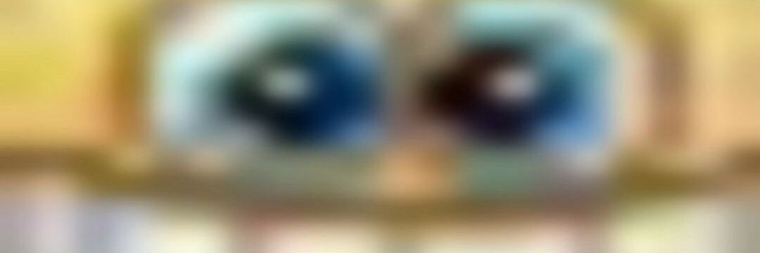 molli banner