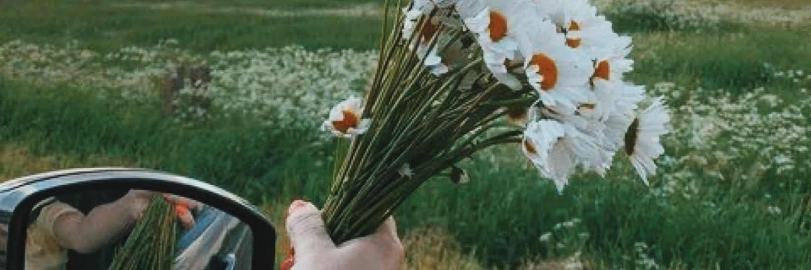 muserrefkoce's profile banner image