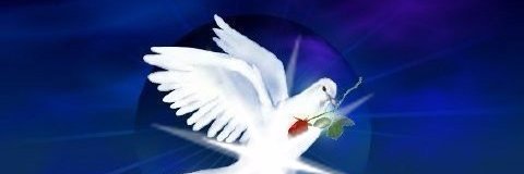 Orleilson Assumpção🍀 banner