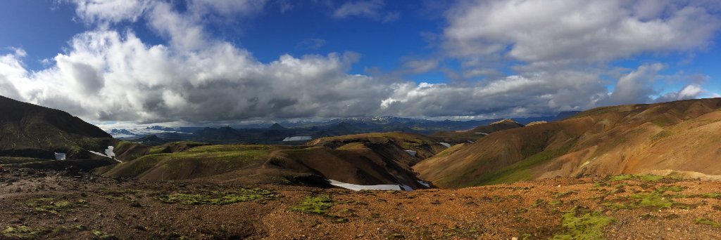 Allison Moore banner