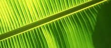 AlexisdeReynal's profile banner image