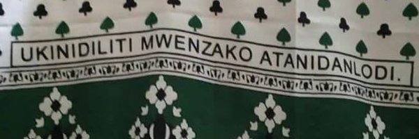 tzdyetu Profile Banner