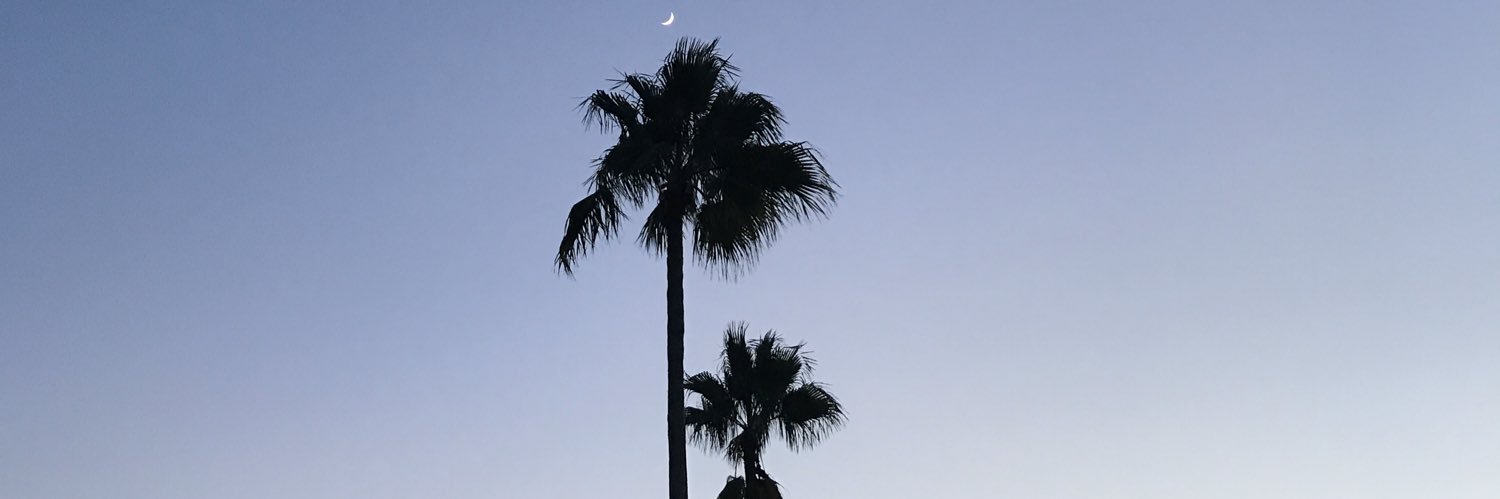 julieaa__'s profile banner image