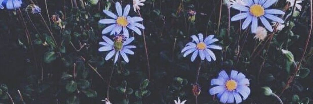 Angin20627061's profile banner image
