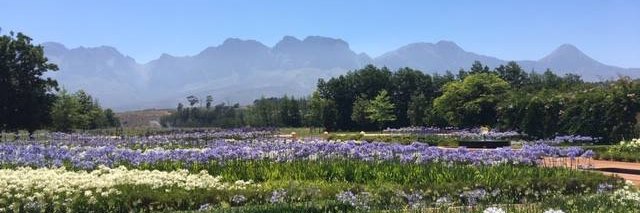 Ronnie Lassiaille banner