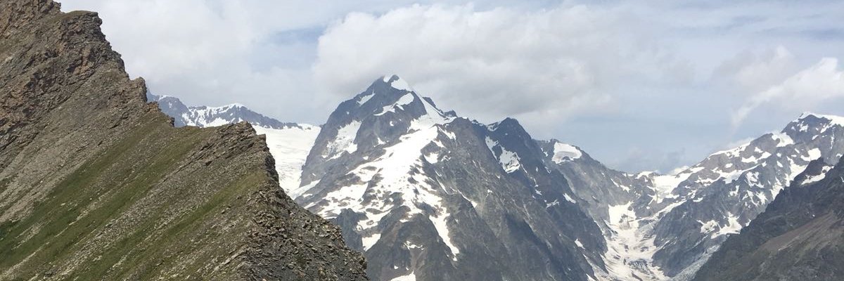 James Brewster banner