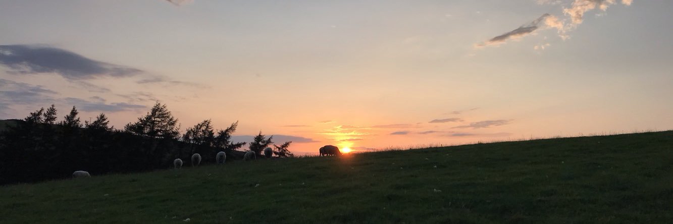 Laura Smithson banner