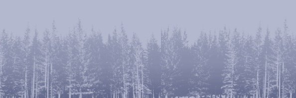 42 Miles Press banner