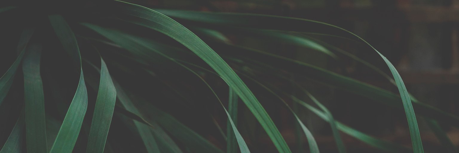 abadrena's profile banner image