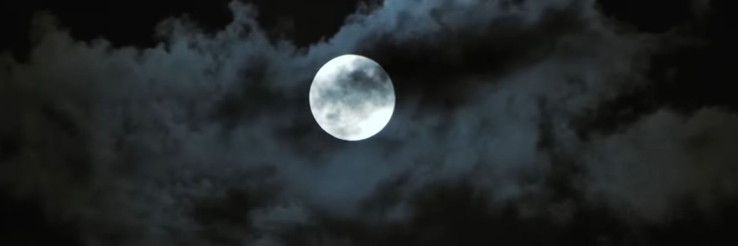 notmyspring's profile banner image