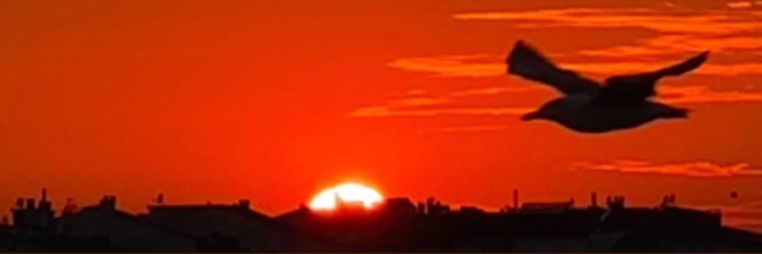 K_hatun_a 🇬🇪 banner