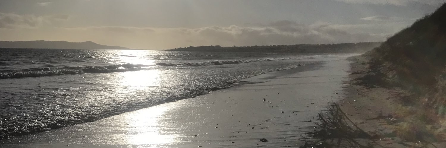 Prof Veronica Lambert banner