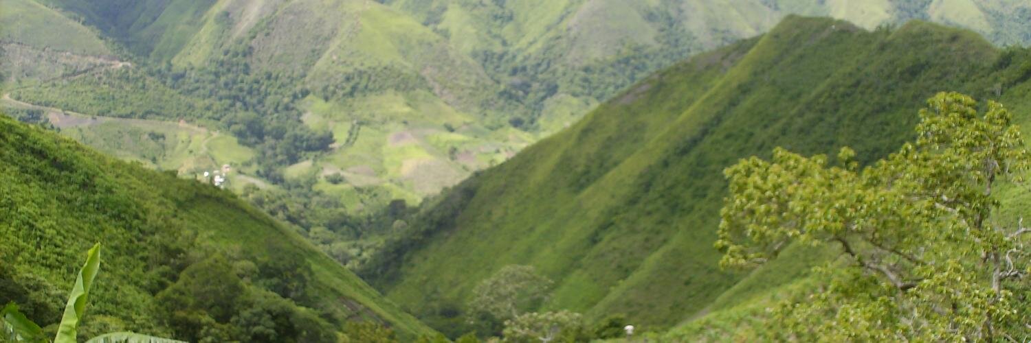 dionisnmg's profile banner image