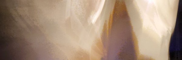 Solaischilling Profile Banner