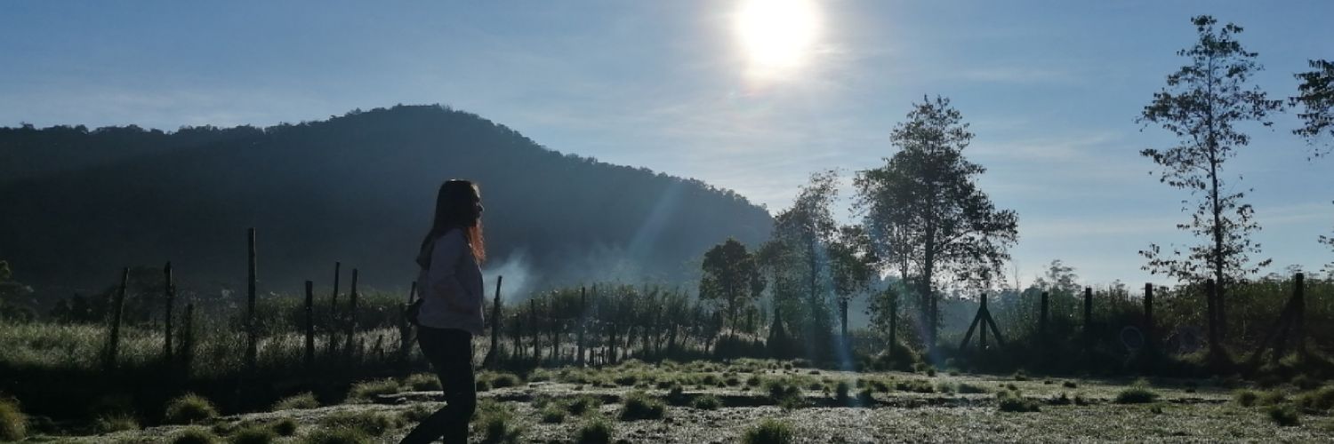 ninamfp's profile banner image