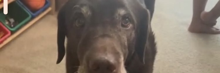 Danielle_Mans's profile banner image