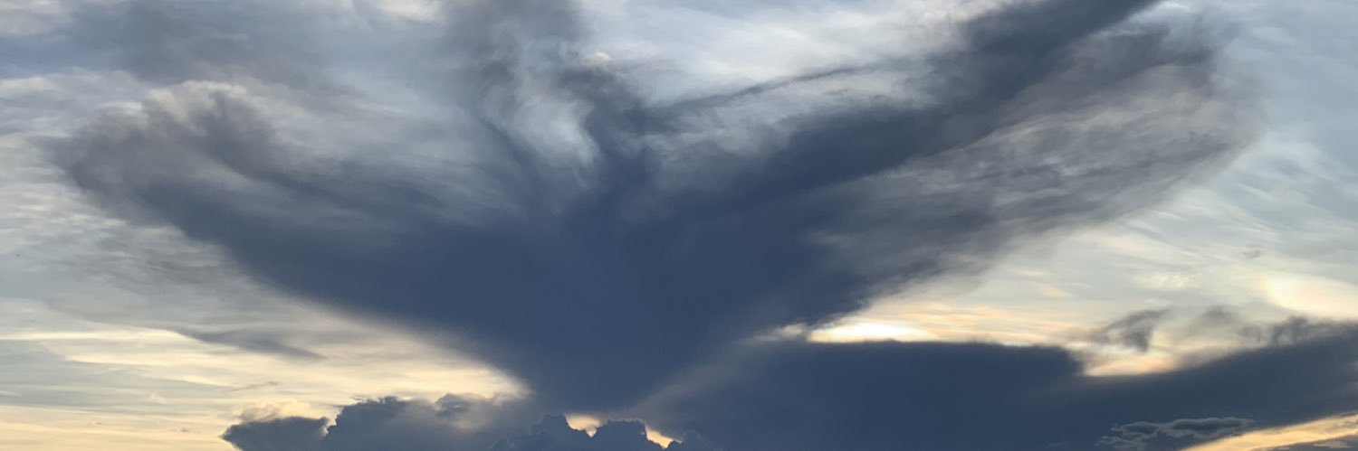 pedrocadaluz's profile banner image