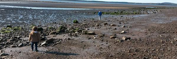 KatieLiffHT Profile Banner