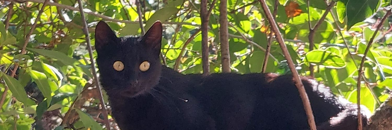 DOnofrioGiusepp's profile banner image