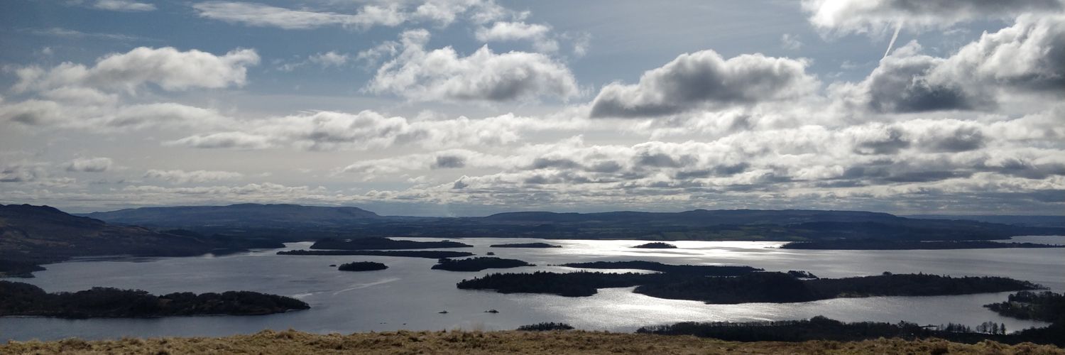 Michael J. Williams banner