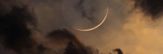 Zoz_dodo's profile banner image