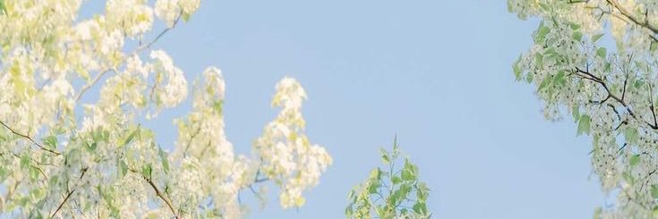 emsdolly's profile banner image