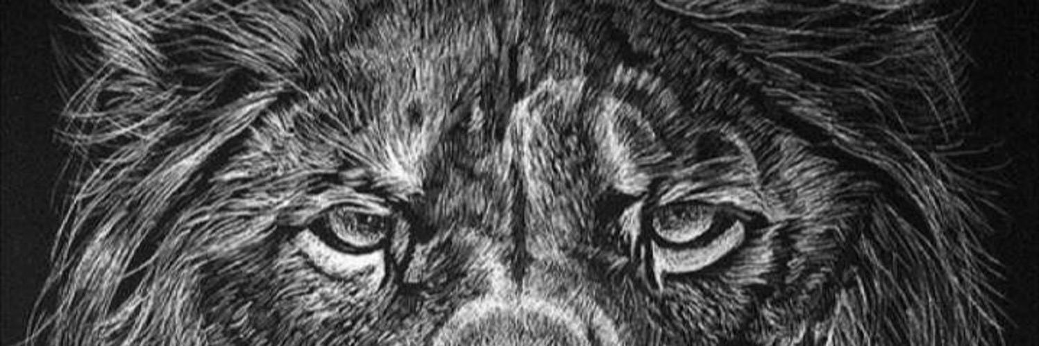 911Momayaz's profile banner image